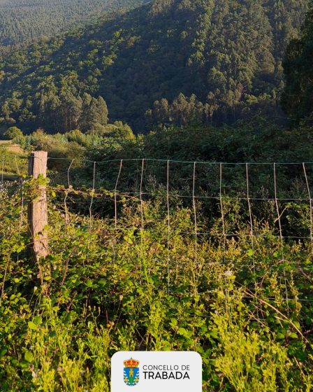 Aprobada en pleno a ordenanza que regula o servizo de limpeza de terreos e fincas abandonadas en Trabada